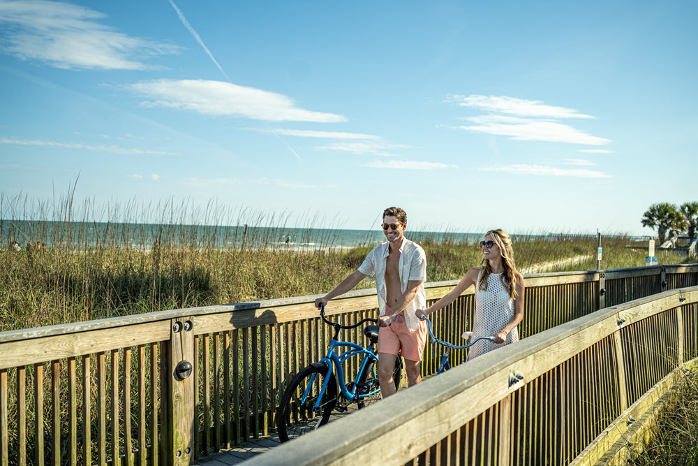 Discover South Carolina's Charm